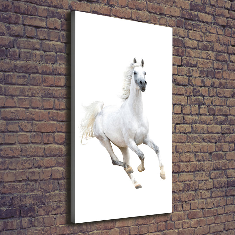 White Horse In Gallop - Wrapped Canvas Print, 140cm H x 70cm W