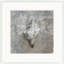 Distressed Sea Shell 5 Print