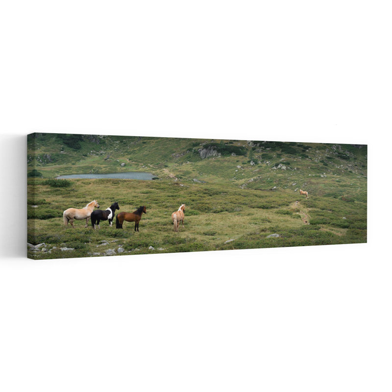 «Wild Horses Mountain Lake Peaceful Serene Tranquil Horse Landscape Mountain», art mural, H 12 po x l 36 po