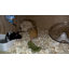 Cage à hamster résistante au mâchonnage, cage à cochons d'Inde en bois de 40 po pour petits animaux, grand hamster, plateau ouvert avec panneaux en acrylique faciles à voir pour hamster, lapin, cochon d'Inde, hérisson (L 40 po x l 20 po x H 20 po)