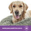 Silentnight Calming Plush Donut Pet Bed-93676159-55843483