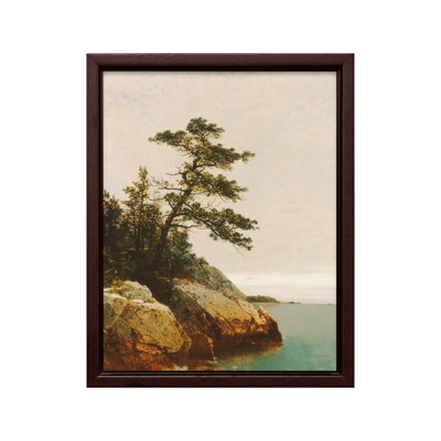 The Old Pine