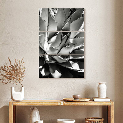 Harnek Black Arizona - Agave