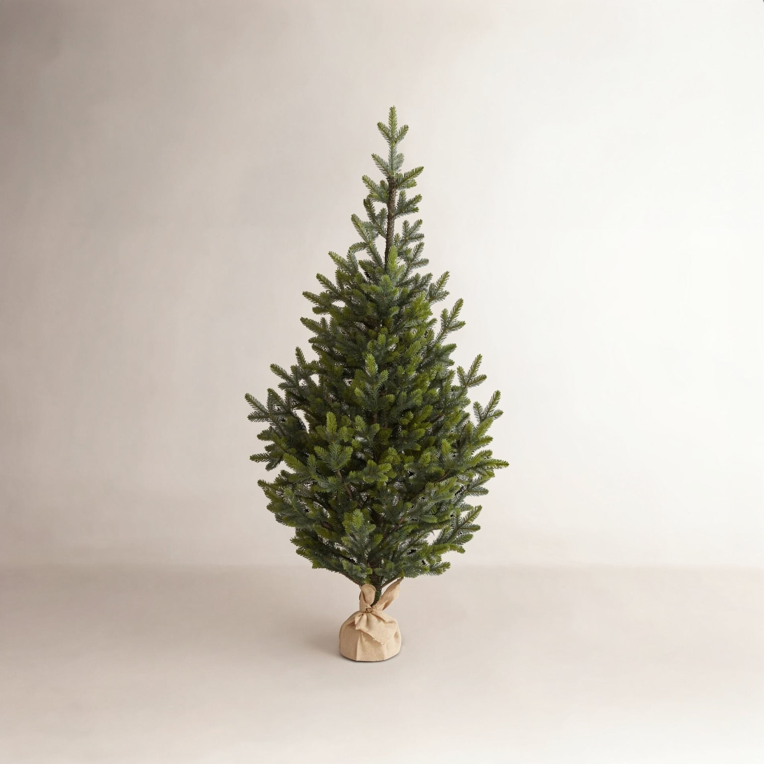 Lighted Artificial Fir Christmas Tree, 5' H