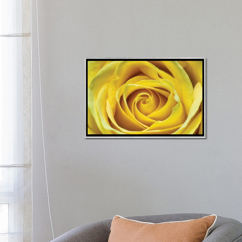 Jaune rose par Glauco Meneghelli-impression, Toile avec cadre argenté, Pas de tapis, H 18 po x l 26 po x P 1,5 po