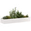 Planter Box-327521690
