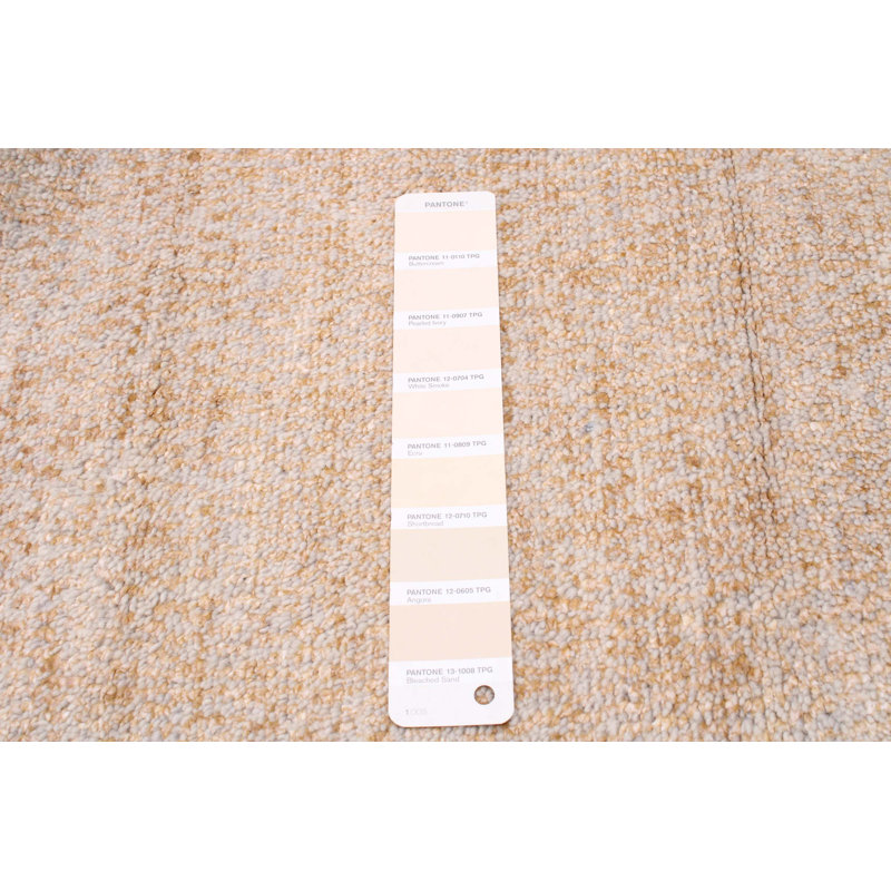 Tapis beige en soie ombre 9 po 2 po x 13 po 5 po