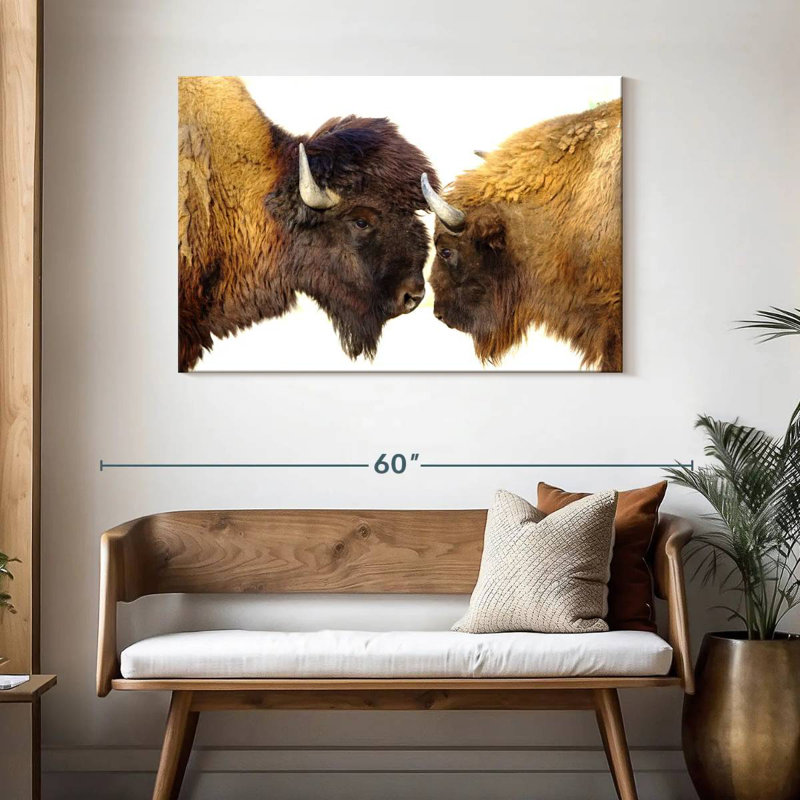 Bramison Bisons I, H 30 po x l 45 po
