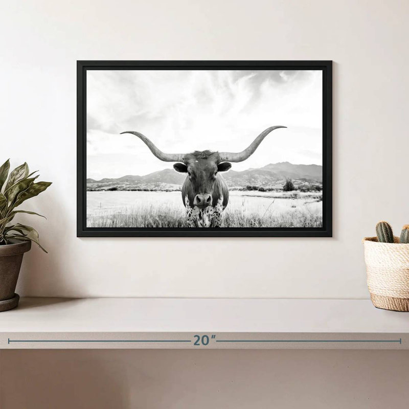 Longhorn Texas BW, Cadre flottant noir, 13 po x 9 po
