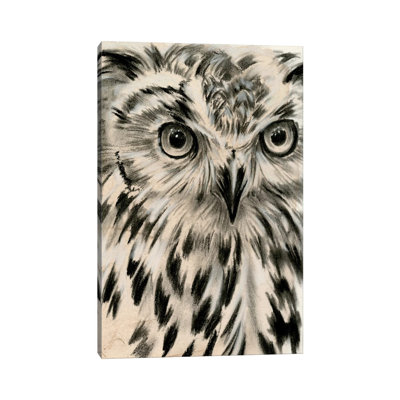 Charcoal Owl I- Gallery-Wrapped Canvas Giclée