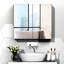 Armoire de salle de bain à miroir, armoire à pharmacie à cadre en acier 24 po x 22 po, rangement mural