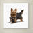 Armand 'Yorky' Print on Canvas-21648408