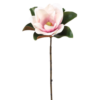 Tige de magnolia