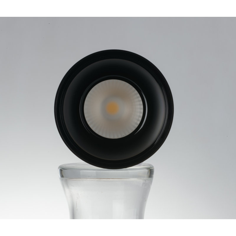 Acrylic LED Flush Mount, Black