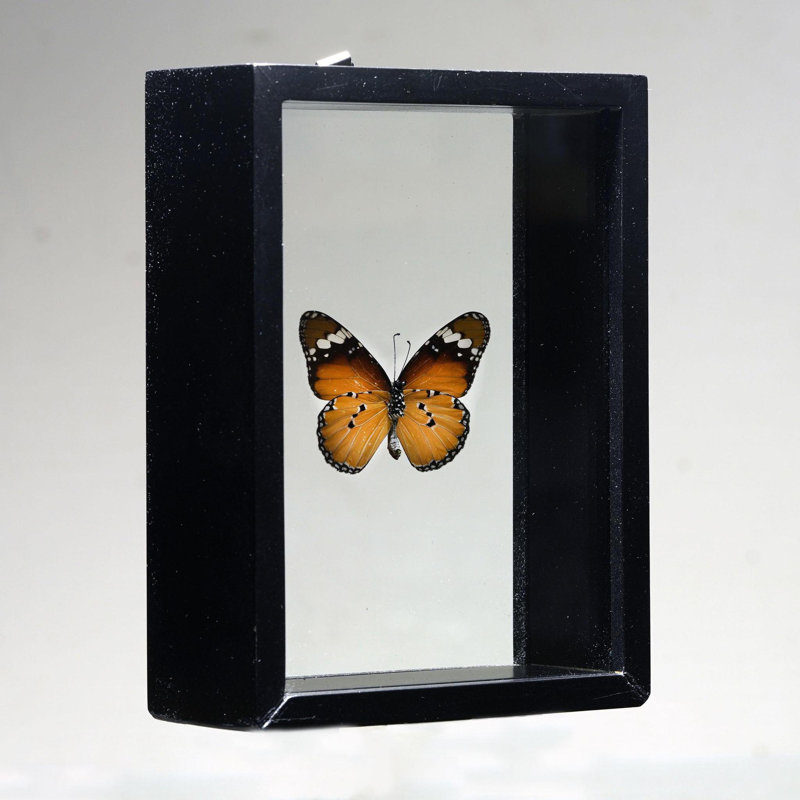 Beautiful Handmade Butterfly Box - Brown/Black