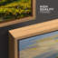 Sunlit Vineyard Landscape Rolling Hills Countryside Scenic Nature-124932569-124932570