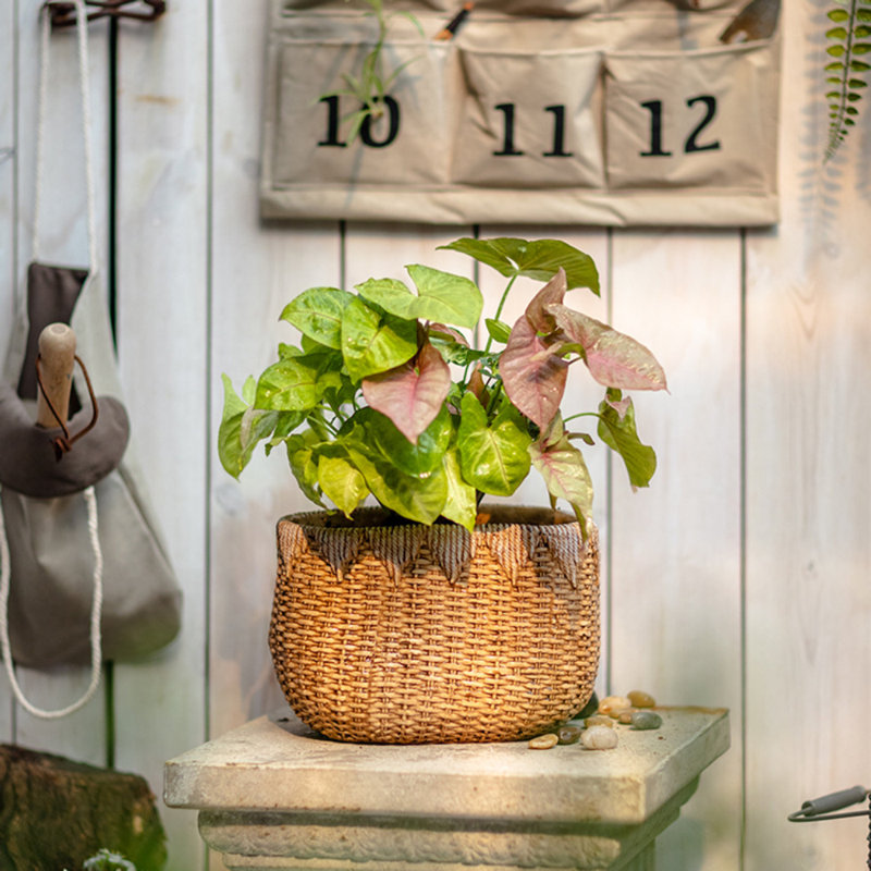 Whaleyville Pot Planter, 5.1" H x 7.5" W x 4.5" D
