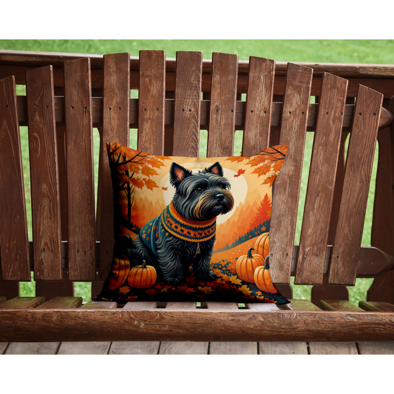 Other/No Pattern Outdoor Throw Pillow, 14" x 14"