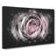 A Pale Pink Rose - Wrapped Canvas-56648315