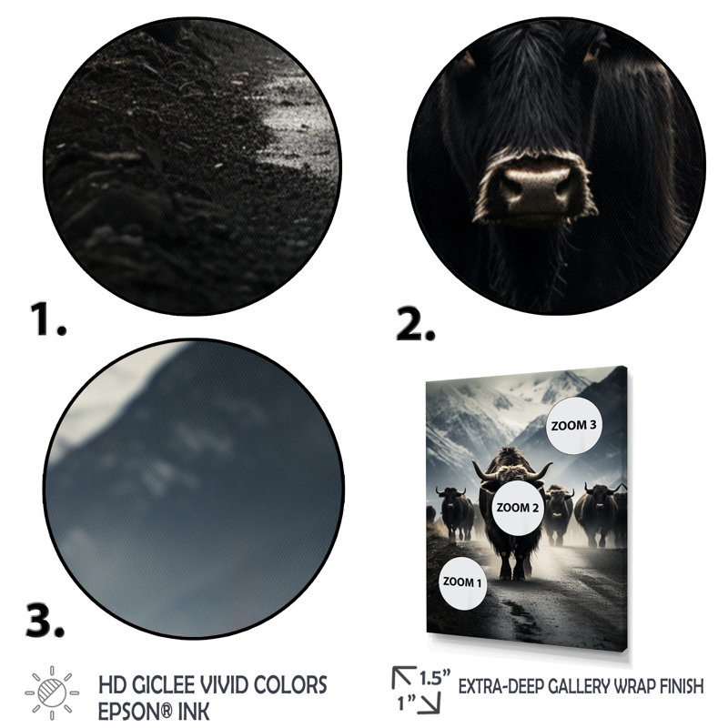 Portrait de yaks noir et blanc II, reproduction sur toile, H 40 po x l 30 po x P 1,5 po, Or