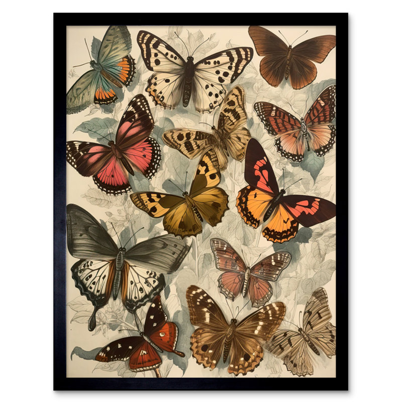 Dorrianne Vintage Cottagecore Aesthetic Butterflies Insect Study - Single Picture Frame Print