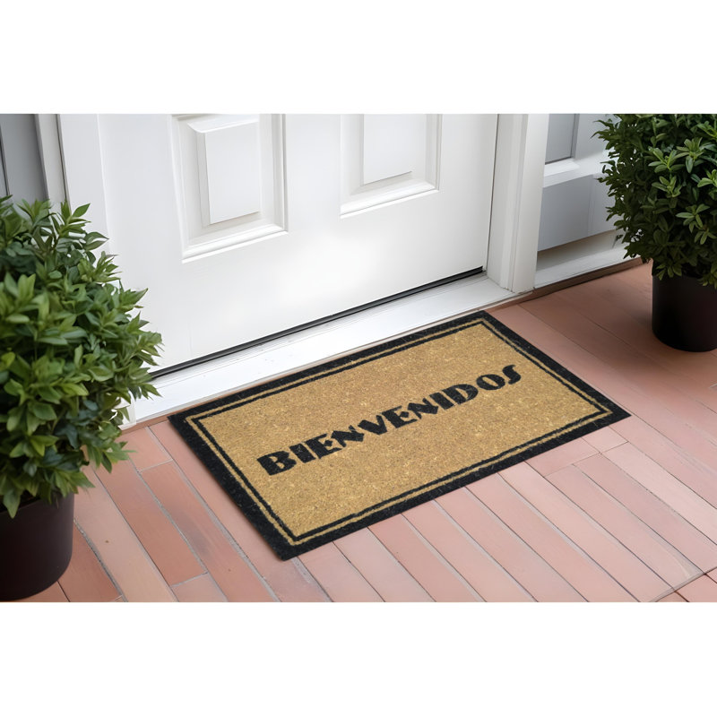 Tapis pour porte d'extérieur en coco brun et noir 18 po x 30 po Bienvenidos