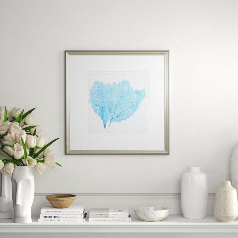 Sea Fan IV Print by Vision