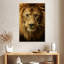 Tête de lion Brampt-108254829