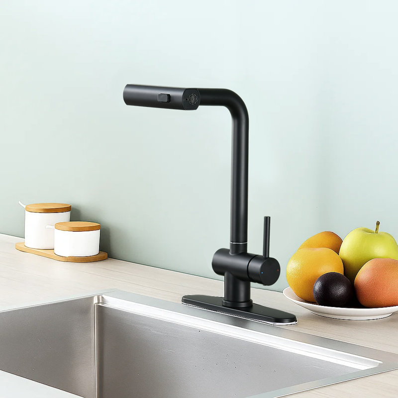 Robinet de cuisine à cascade avec douchette extractible et conduite d'eau, Noir mat