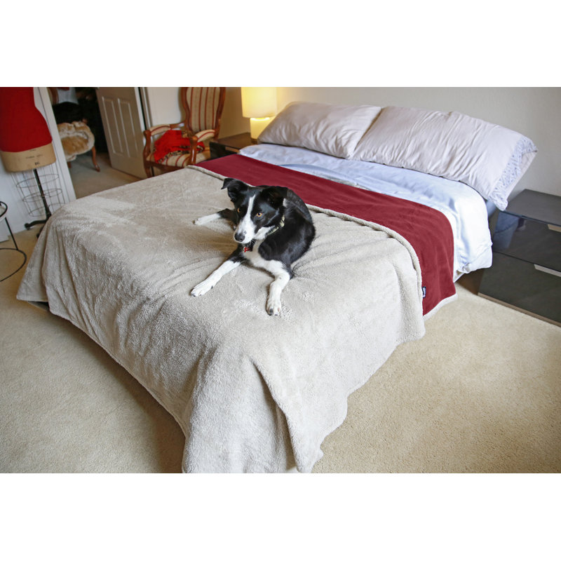 Couverture imperméable pour chiens Catalonia, L 80 po x L 90 po, Rouge / taupe