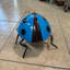 Petite statue d'insecte bleue surdimensionnée