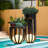 Outdoor Solar Power Pathway Light with LED Lights