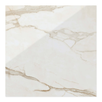 Fino Glossy 24x24 Porcelain Floor & Wall Tile (15.5 Sq. Ft./Case)