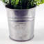 Anari 30cm Faux Tree in Metal Planter
