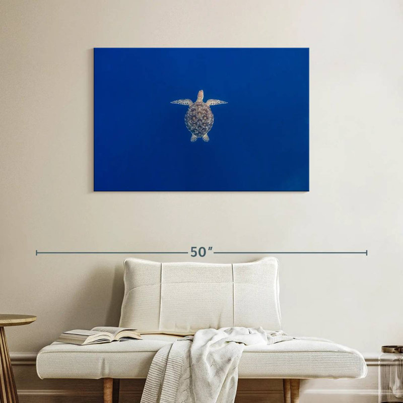 Brampt Blue Sea Turtle, 26" H x 39" W