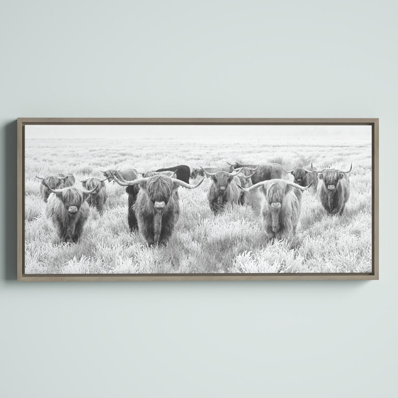 Herd of Highland Cows Black and White Framed Canvas Art