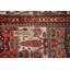 Tapis Garden Design 7 x 10
