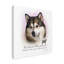 « effet velours alaskan malamute », reproduction d’impression sur toile tendue-26854524