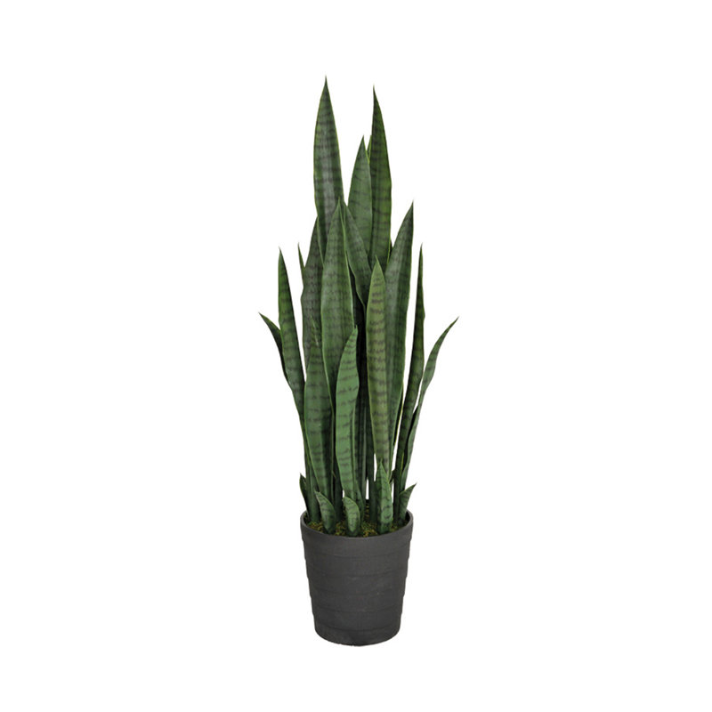 23 cm H Faux Snake Plant in Plastic Pot