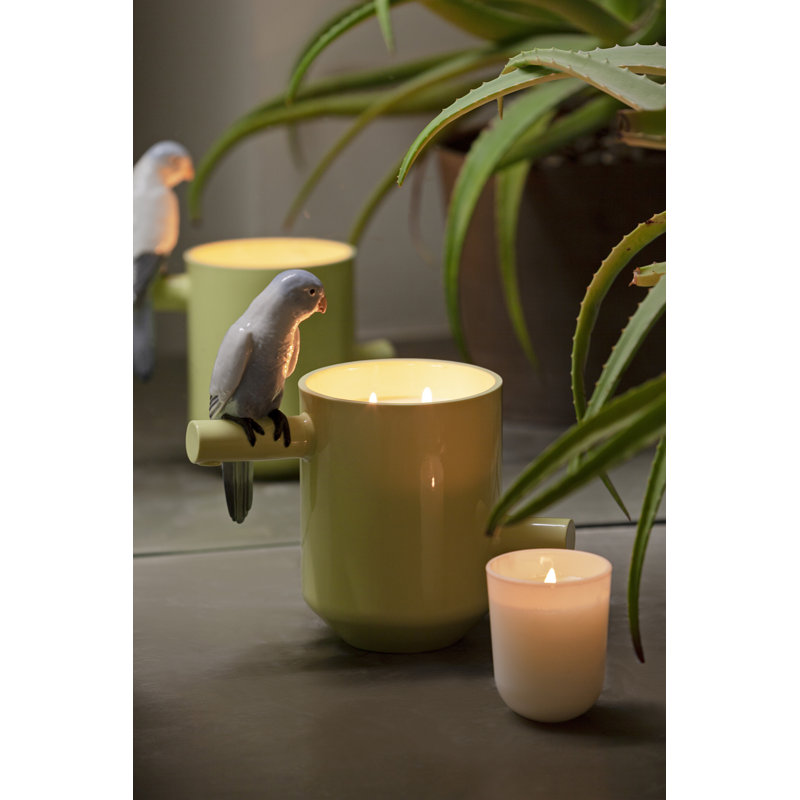 Parrot Party Scented Jar Candle