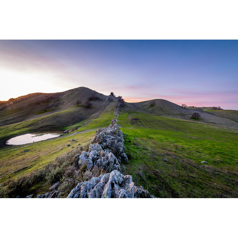Alceu Mount Diablo State Park par - Photographie de toile tendue, H 8 po x l 12 po