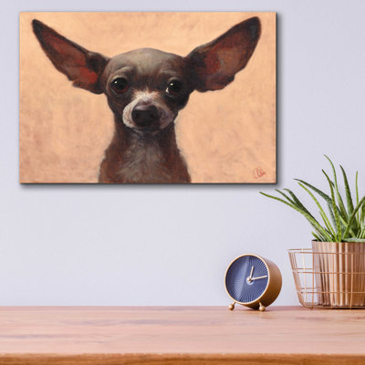 " Chihuahua "