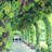64'' W x 16'' D Metal Arbor-87183451