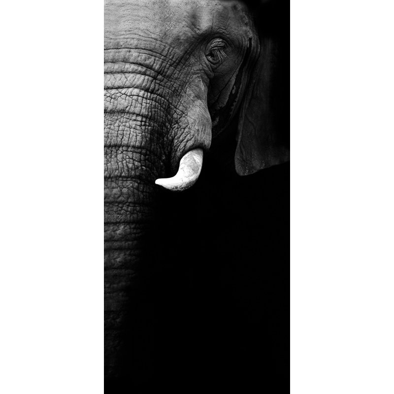 Wrapped Canvas Print, 50.8 cm H x 76.2 cm W