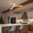  Airys 52'' Ceiling Fan with LED Light and Reversible DC Motor-1760405731