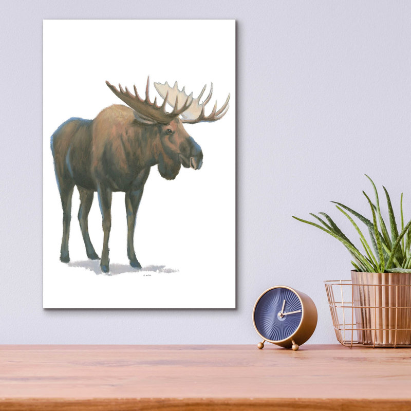 «Northern Wild VI» par James Wiens, art mural en verre acrylique, H 16 po x l 12 po x P 0,13 po