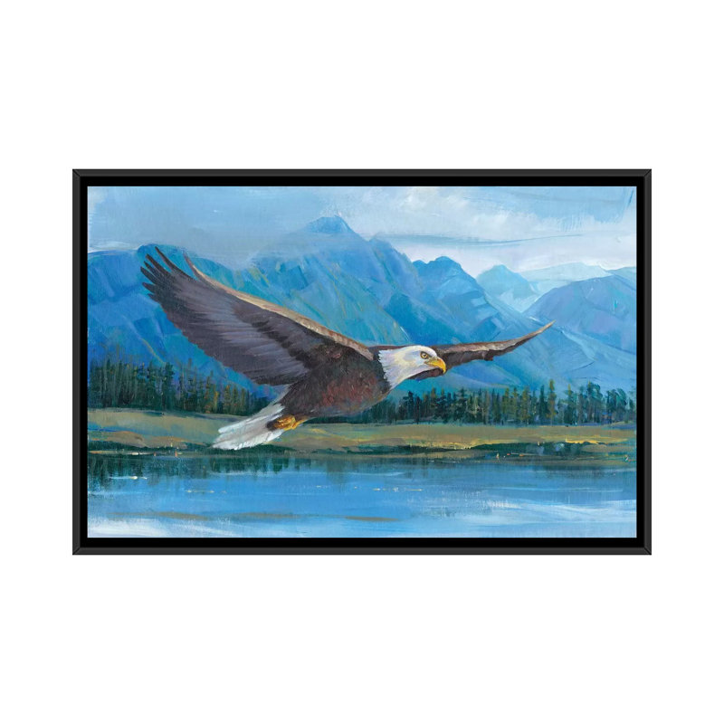 «Eagle Soaring» par Tim O'Toole - reproduction d'art sur toile tendue, H 32 po x l 48 po x P 1,5 po, Toile avec cadre noir