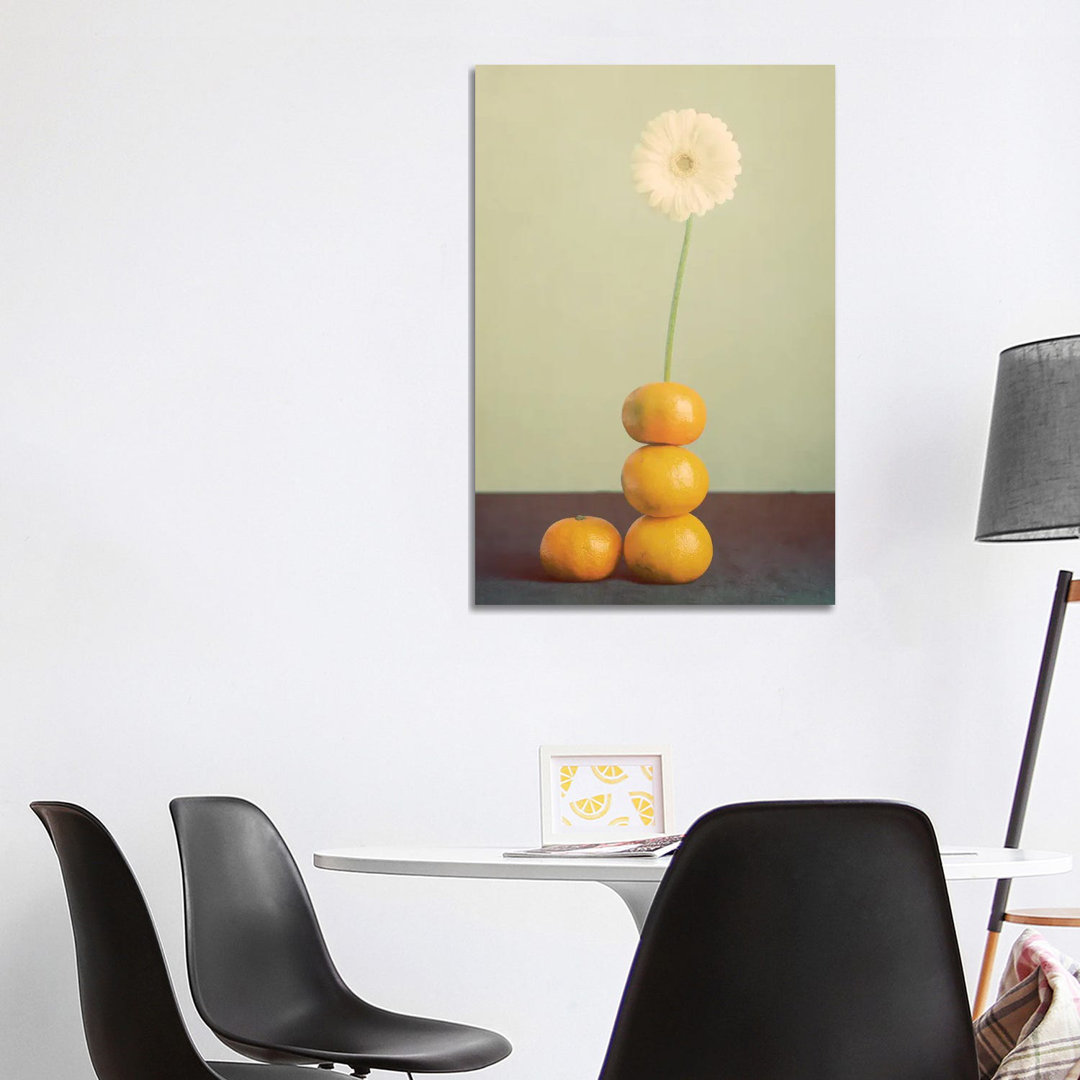 Oranges Gänseblümchen von Roberta Murray - Galerie-verpackte Leinwand Giclée