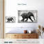 Bébé éléphant Brampt qui court-107685185