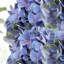 Trois fleurs d'hortensia artificielles bleues et mauves, décorations florales naturelles, parfaites pour les bouquets de mariage.